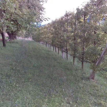 Panorama Πανσιόν Σαράγεβο