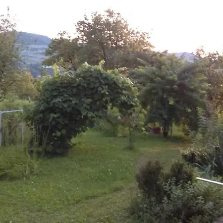 Panorama *